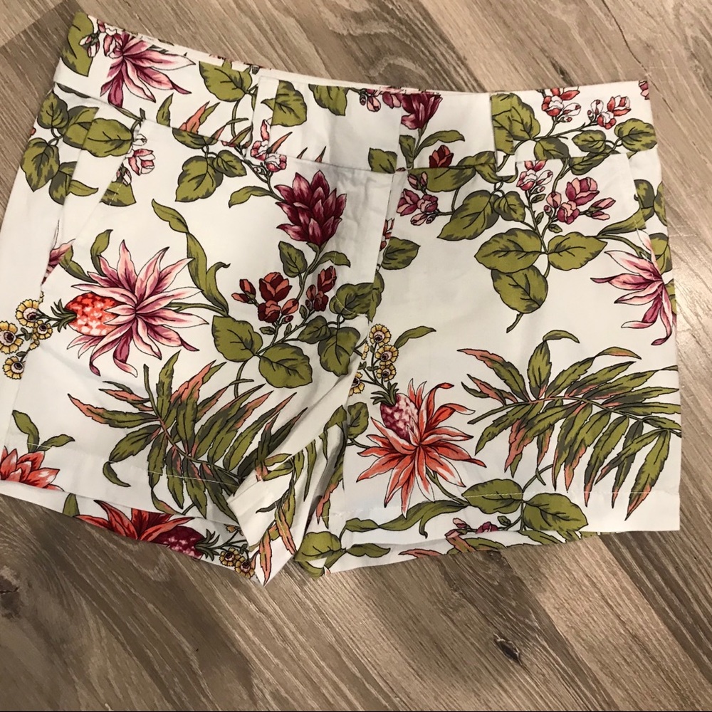 Ann Taylor LOFT Shorts